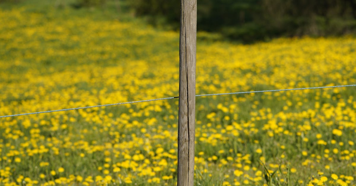 Can you fix a broken fence post?