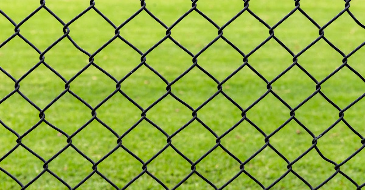 How often should you seal your fence?